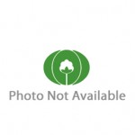 photo not available