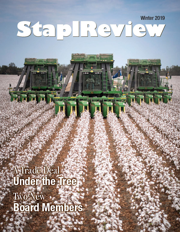 Staplreview - Winter 2019