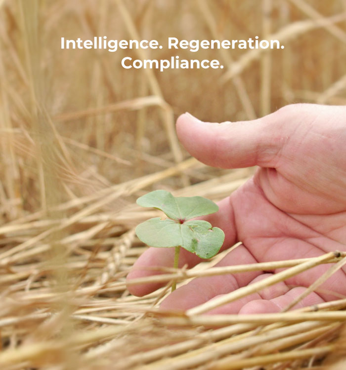 Staplcotn Regenerative Practices