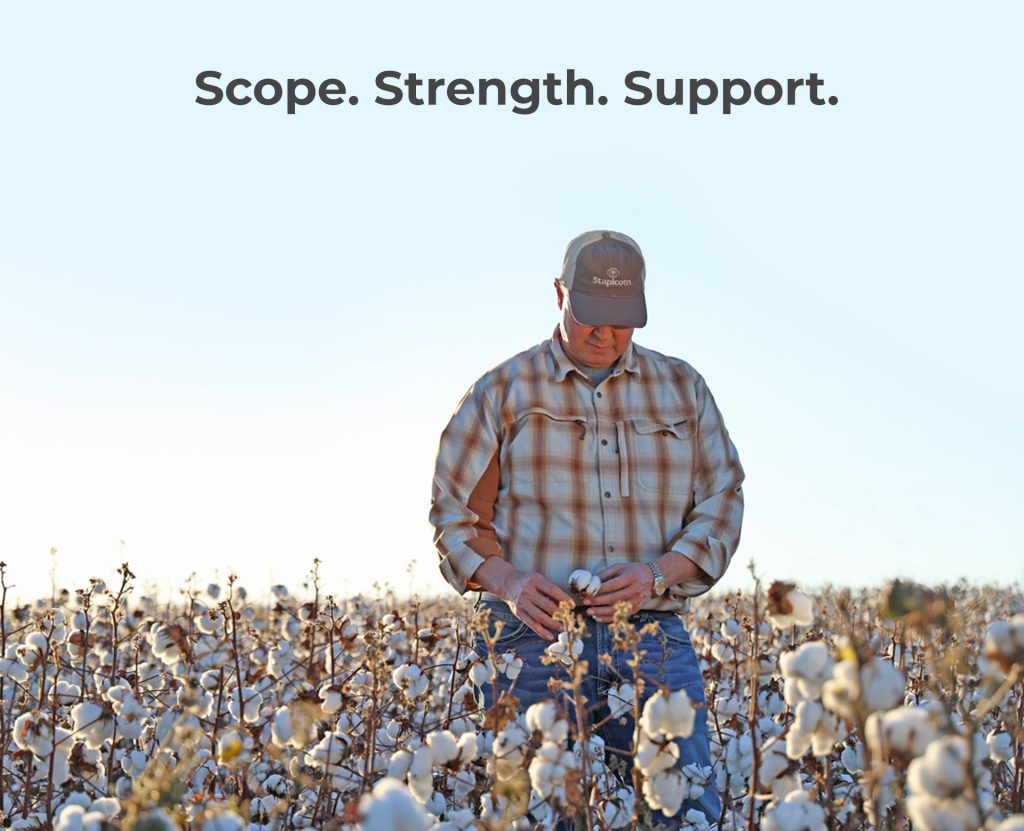 Staplcotn Cotton Growers