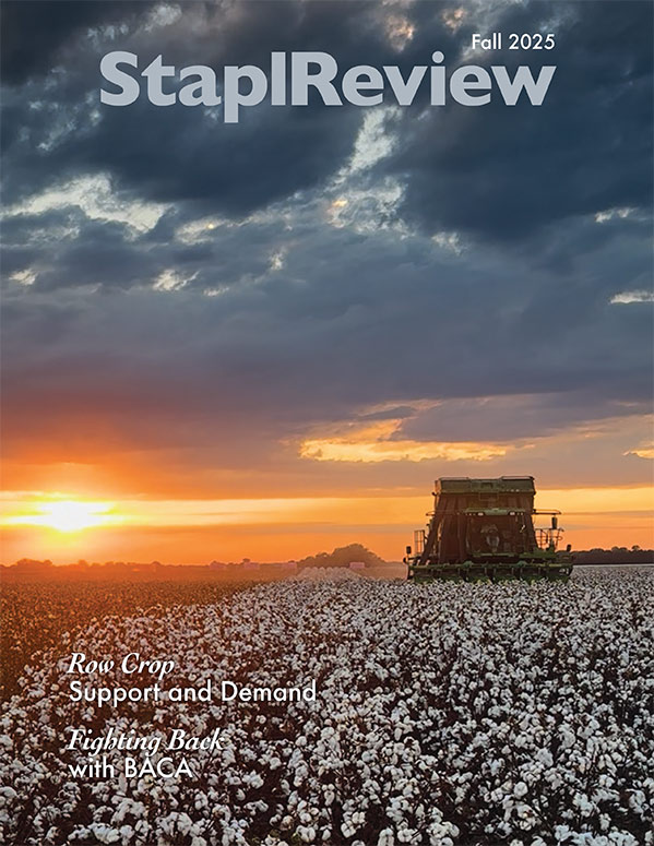 Staplreview - Fall 2025